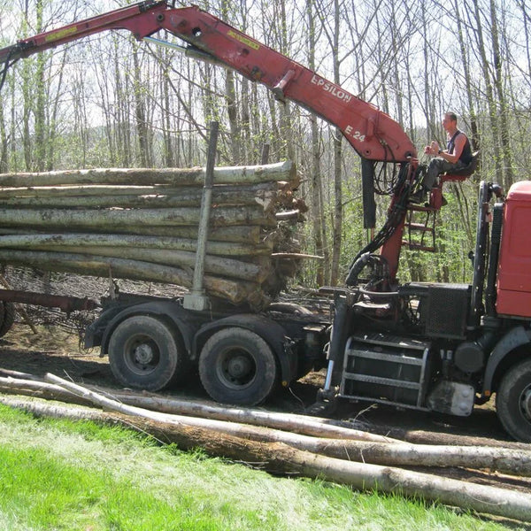 Camion de bois en grume – Hêtre, Chêne, Charme – 50 stères