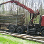 Camion de bois en grume – Hêtre, Chêne, Charme – 50 stères