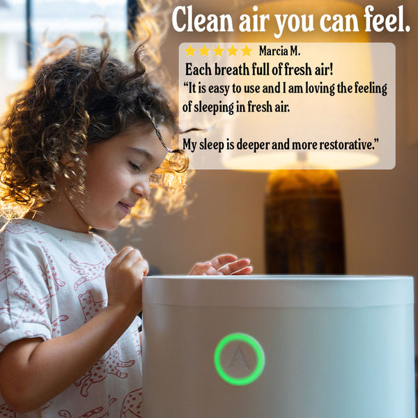 Airclar Air Scrubber